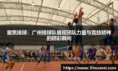 bsports官网入口