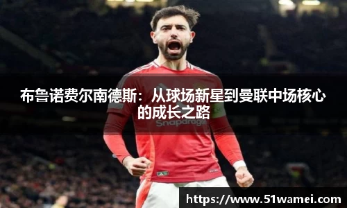 bsports登录入口