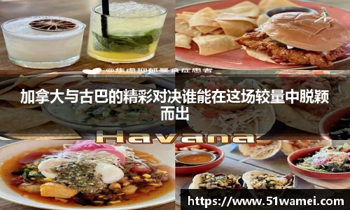 bsports登录入口