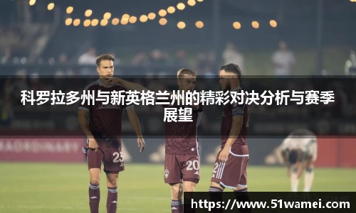 bsports登录入口
