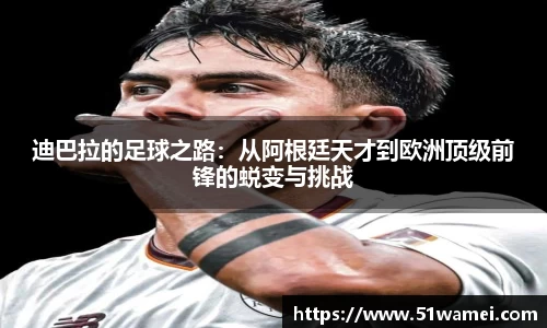 bsports登录入口