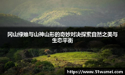 bsports官网入口