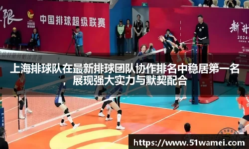 bsports登录入口
